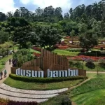 Dusun Bambu Bandung, Objek Wisata Edukasi yang Seru